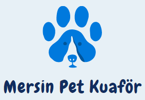 Mersin Pet Kuaför